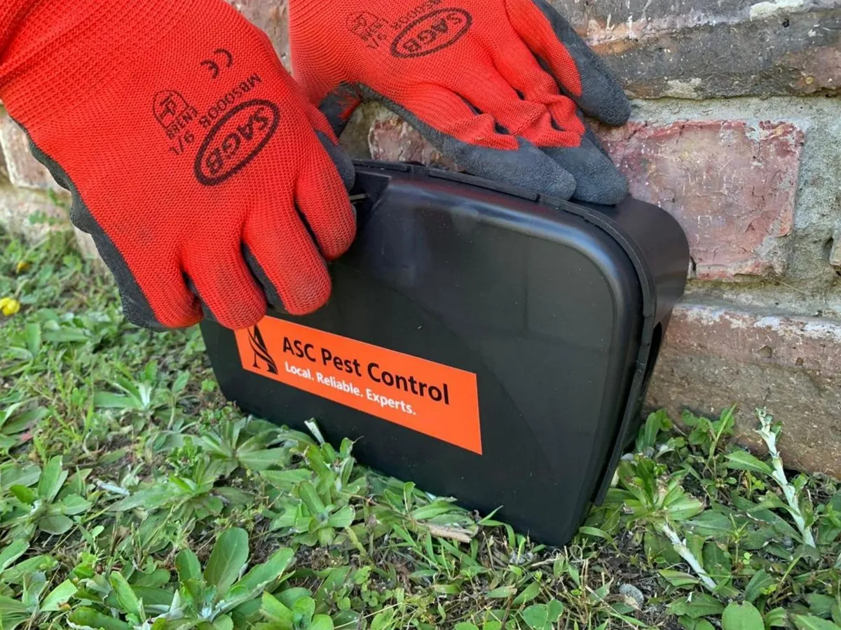 ASC branded tamper resistant bait box on a commercial site