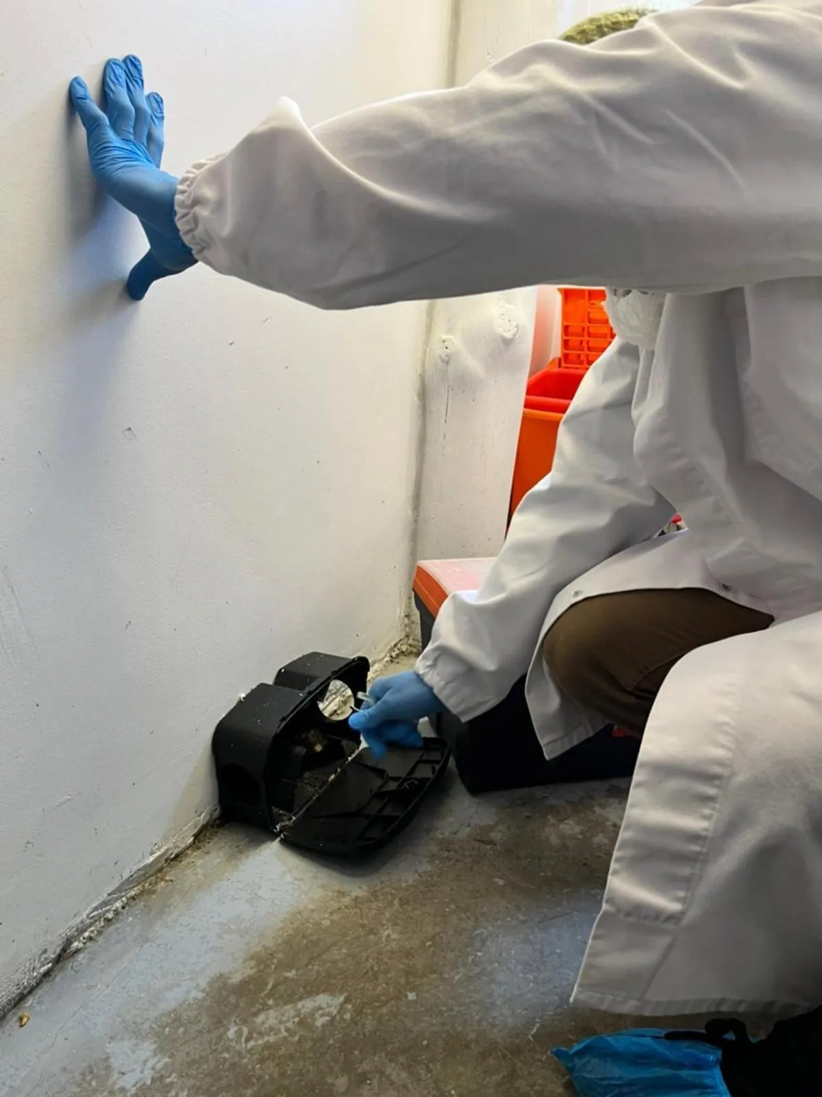 An ASC Pest Control technician inspecting a rodent bait station inside a food facility